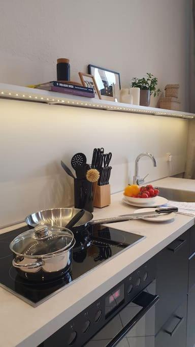 Moka Living-Sunset Apt, Nordic Design,Kueche,Wlan, Smarttv Magdeburg Ngoại thất bức ảnh